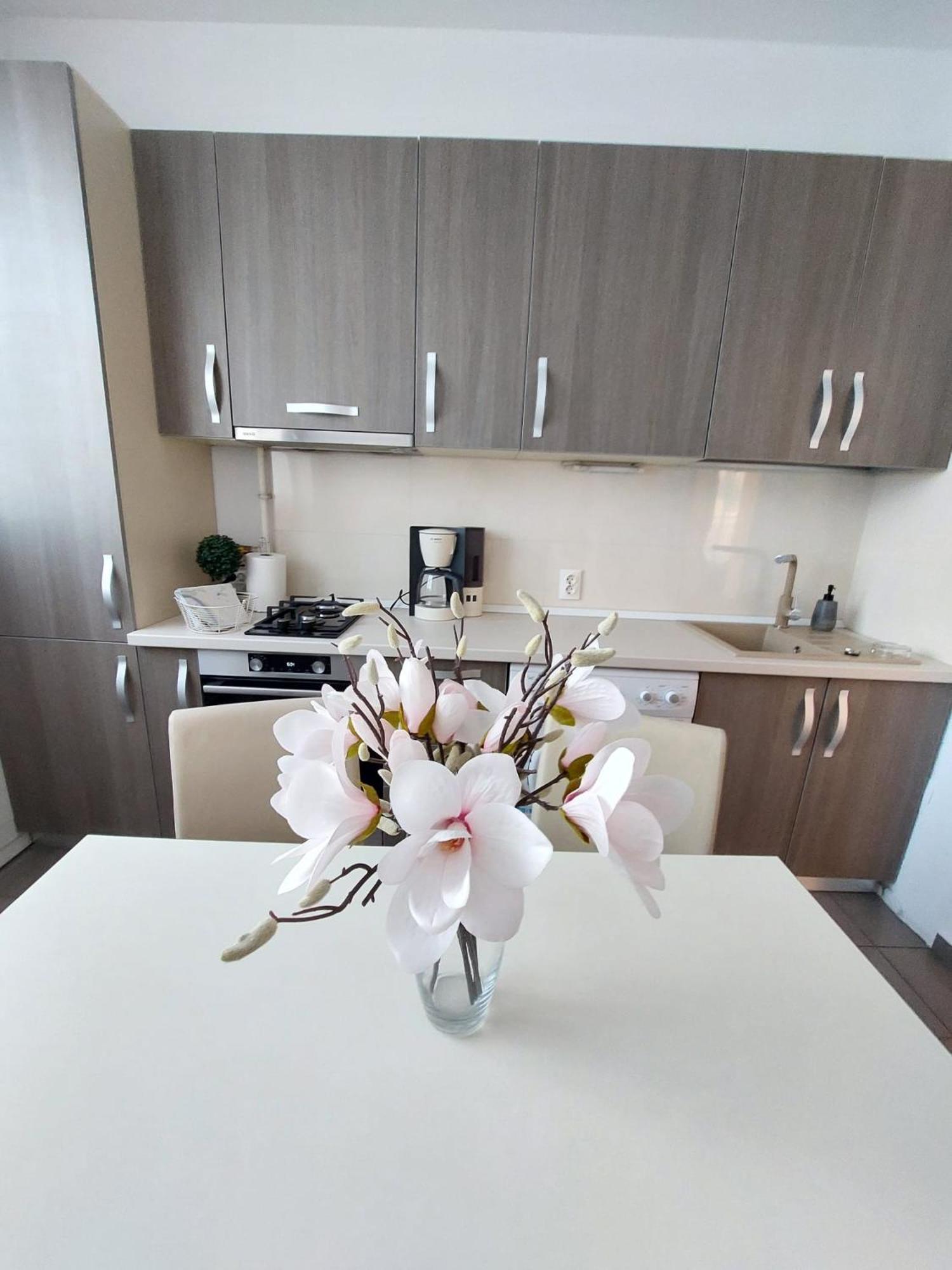 Sweet Residence Apartment Арад Екстер'єр фото